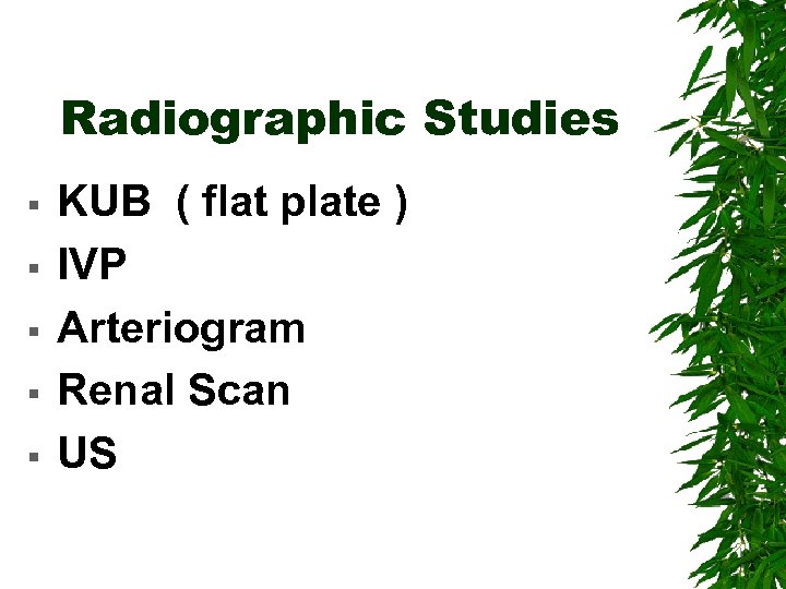 Radiographic Studies § § § KUB ( flat plate ) IVP Arteriogram Renal Scan