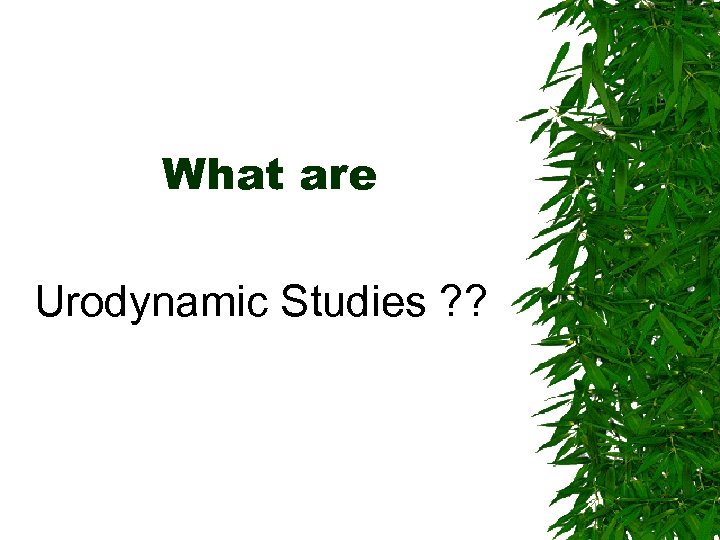 What are Urodynamic Studies ? ? 