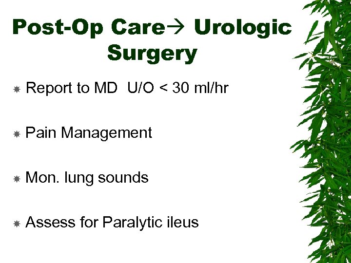 Post-Op Care Urologic Surgery Report to MD U/O < 30 ml/hr Pain Management Mon.