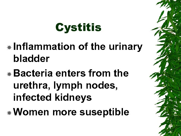 Cystitis Inflammation of the urinary bladder Bacteria enters from the urethra, lymph nodes, infected