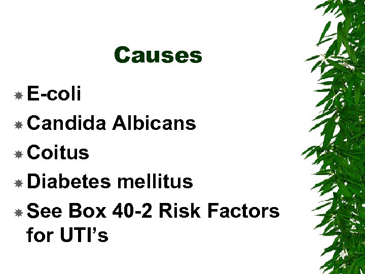 Causes E-coli Candida Albicans Coitus Diabetes mellitus See Box 40 -2 Risk Factors for