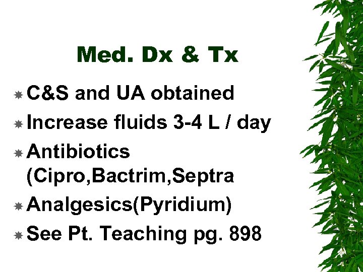 Med. Dx & Tx C&S and UA obtained Increase fluids 3 -4 L /