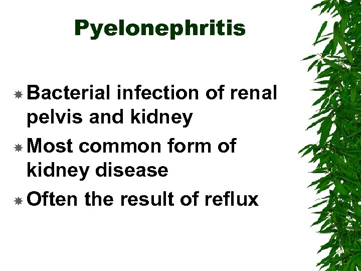 Pyelonephritis Bacterial infection of renal pelvis and kidney Most common form of kidney disease