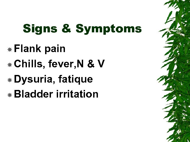 Signs & Symptoms Flank pain Chills, fever, N & V Dysuria, fatique Bladder irritation