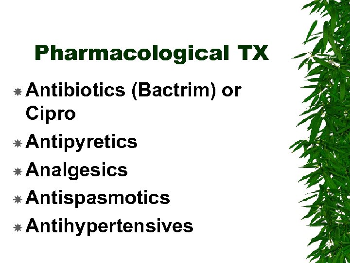 Pharmacological TX Antibiotics (Bactrim) or Cipro Antipyretics Analgesics Antispasmotics Antihypertensives 