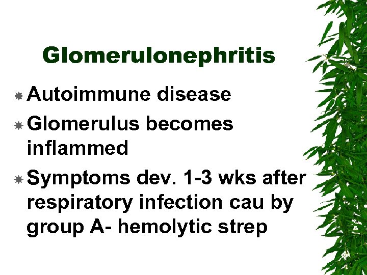 Glomerulonephritis Autoimmune disease Glomerulus becomes inflammed Symptoms dev. 1 -3 wks after respiratory infection