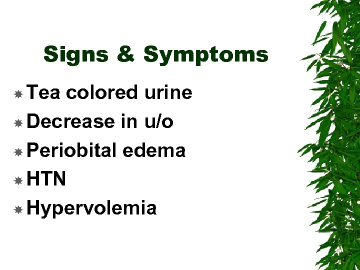 Signs & Symptoms Tea colored urine Decrease in u/o Periobital edema HTN Hypervolemia 