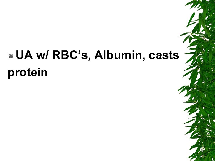  UA w/ RBC’s, Albumin, casts protein 