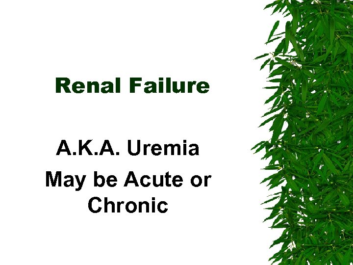 Renal Failure A. K. A. Uremia May be Acute or Chronic 