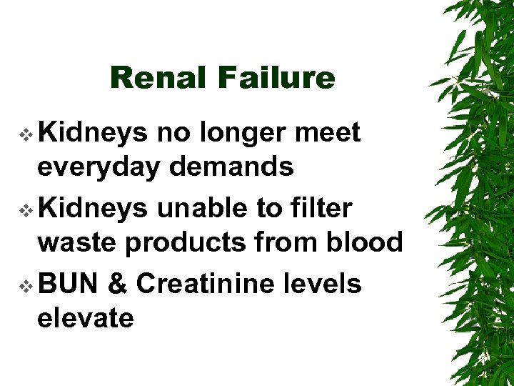 Renal Failure v Kidneys no longer meet everyday demands v Kidneys unable to filter