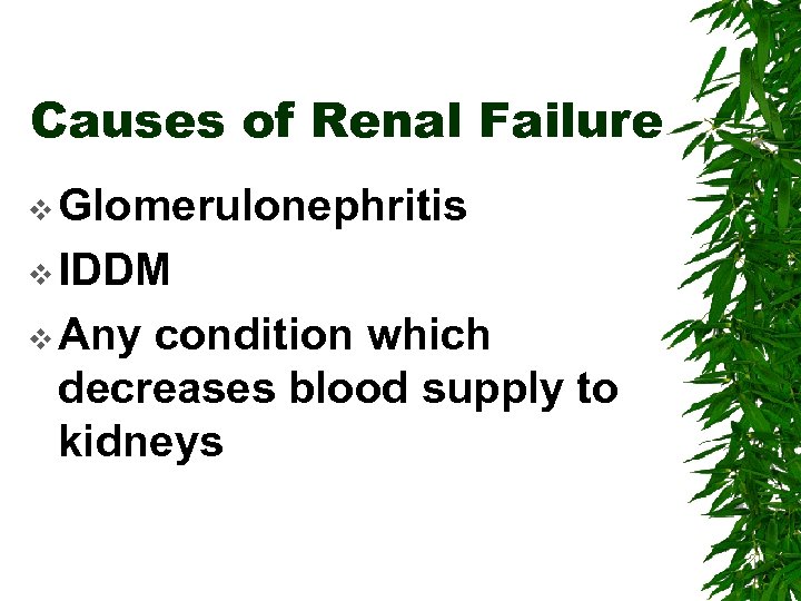 Causes of Renal Failure v Glomerulonephritis v IDDM v Any condition which decreases blood