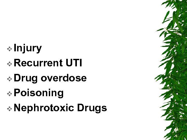 v Injury v Recurrent UTI v Drug overdose v Poisoning v Nephrotoxic Drugs 