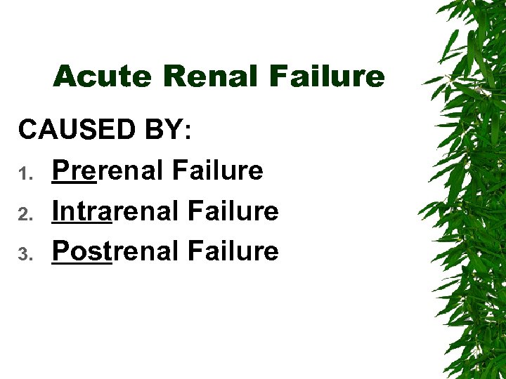 Acute Renal Failure CAUSED BY: 1. Prerenal Failure 2. Intrarenal Failure 3. Postrenal Failure