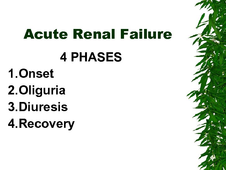 Acute Renal Failure 4 PHASES 1. Onset 2. Oliguria 3. Diuresis 4. Recovery 