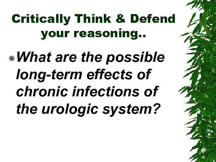 Critically Think & Defend your reasoning. . What are the possible long-term effects of