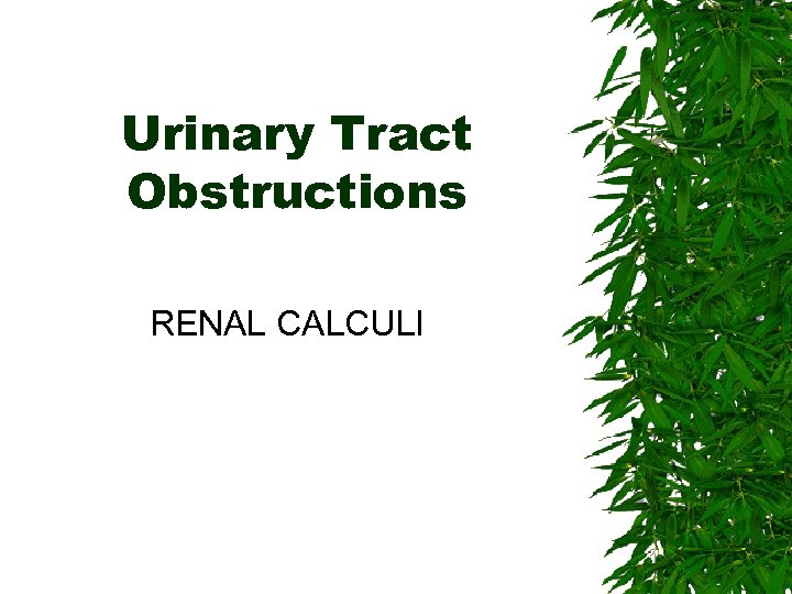 Urinary Tract Obstructions RENAL CALCULI 