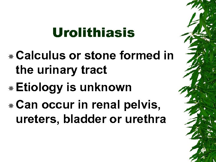 Urolithiasis Calculus or stone formed in the urinary tract Etiology is unknown Can occur