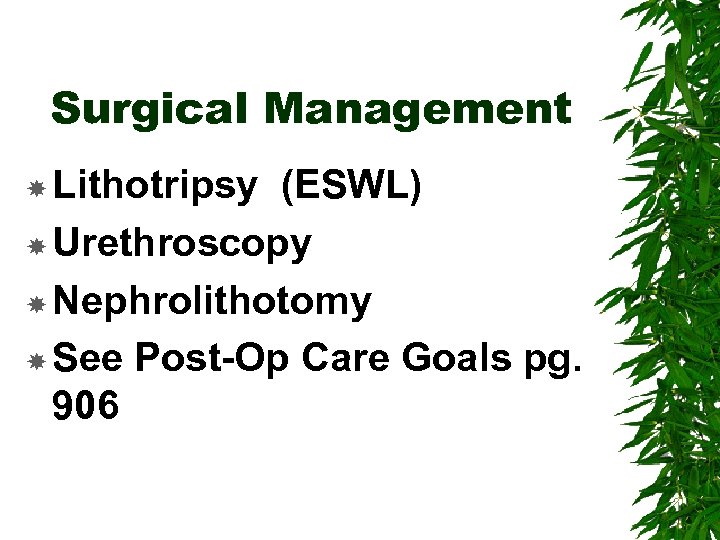 Surgical Management Lithotripsy (ESWL) Urethroscopy Nephrolithotomy See Post-Op Care Goals pg. 906 