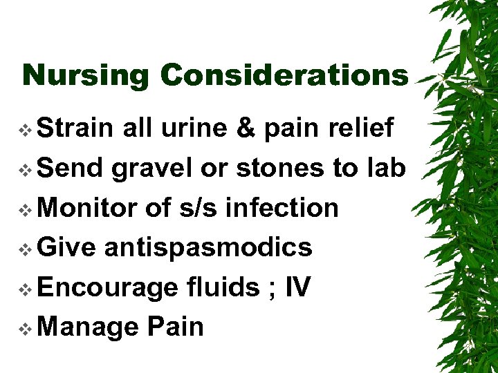 Nursing Considerations v Strain all urine & pain relief v Send gravel or stones