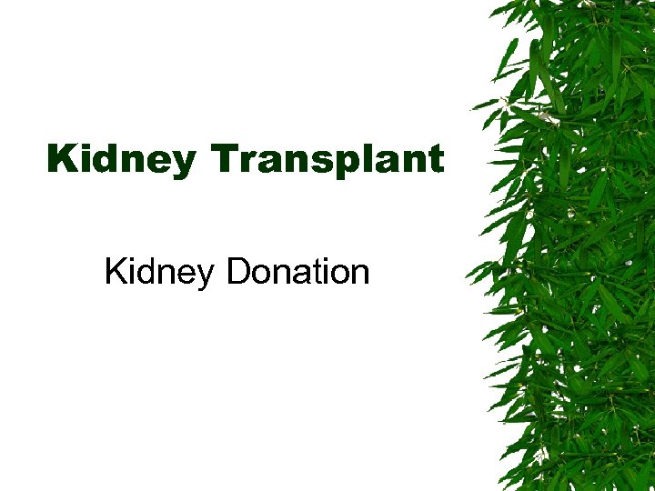 Kidney Transplant Kidney Donation 