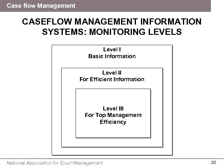 Case flow Management CASEFLOW MANAGEMENT INFORMATION SYSTEMS: MONITORING LEVELS Level I Basic Information Level