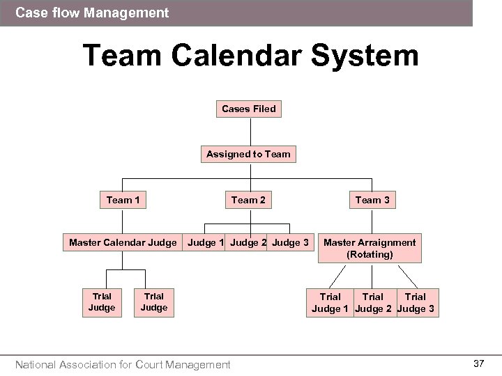 Case flow Management Team Calendar System Cases Filed Assigned to Team 1 Team 2