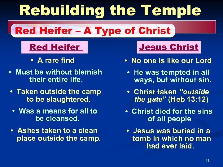 Rebuilding the Temple Red Heifer – A Type of Christ Red Heifer Jesus Christ