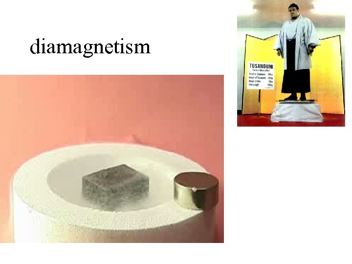 diamagnetism 