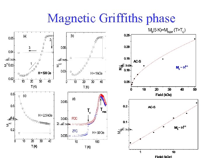  Magnetic Griffiths phase 