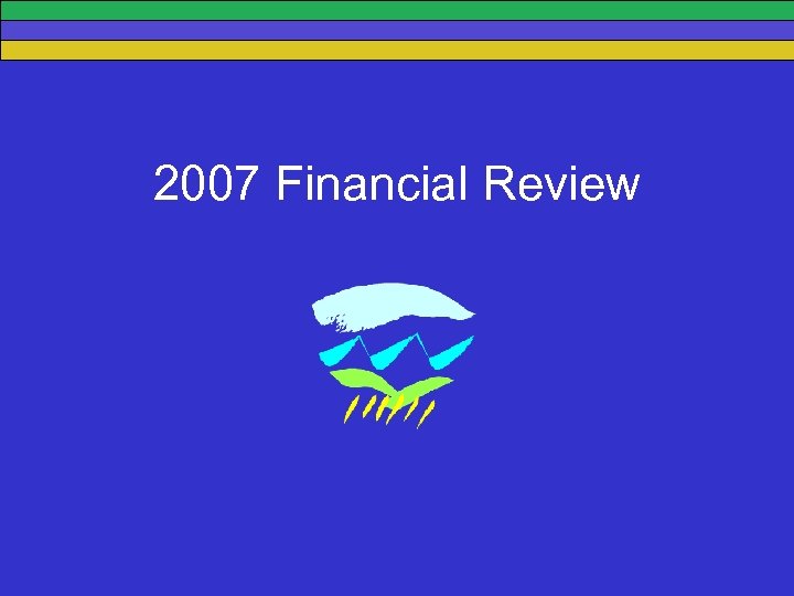 2007 Financial Review 