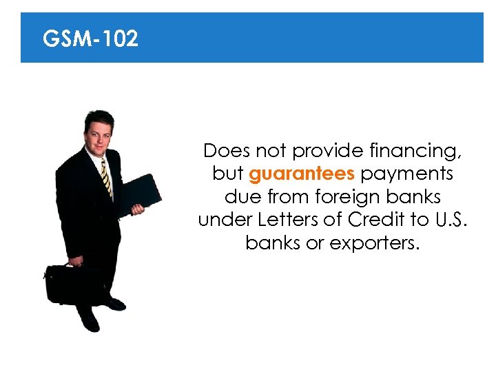 GSM-102 Does not provide financing, but guarantees payments due from foreign banks under Letters