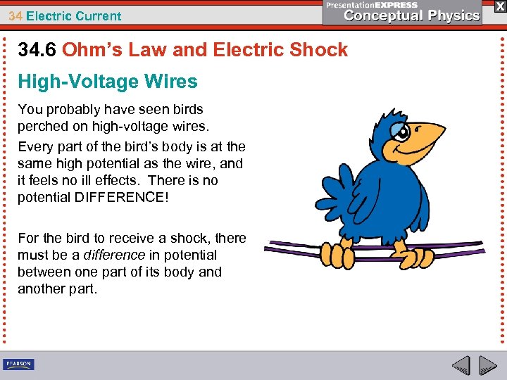 34 Electric Current 34. 6 Ohm’s Law and Electric Shock High-Voltage Wires You probably