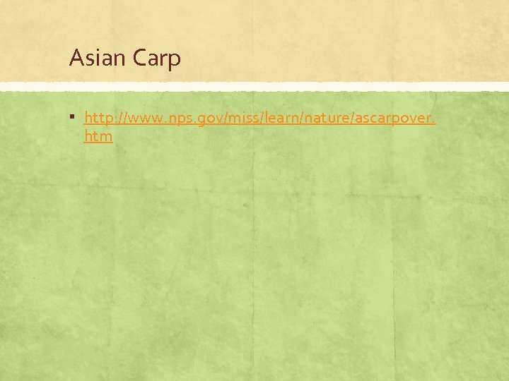 Asian Carp ▪ http: //www. nps. gov/miss/learn/nature/ascarpover. htm 