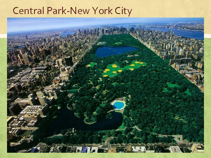 Central Park-New York City 