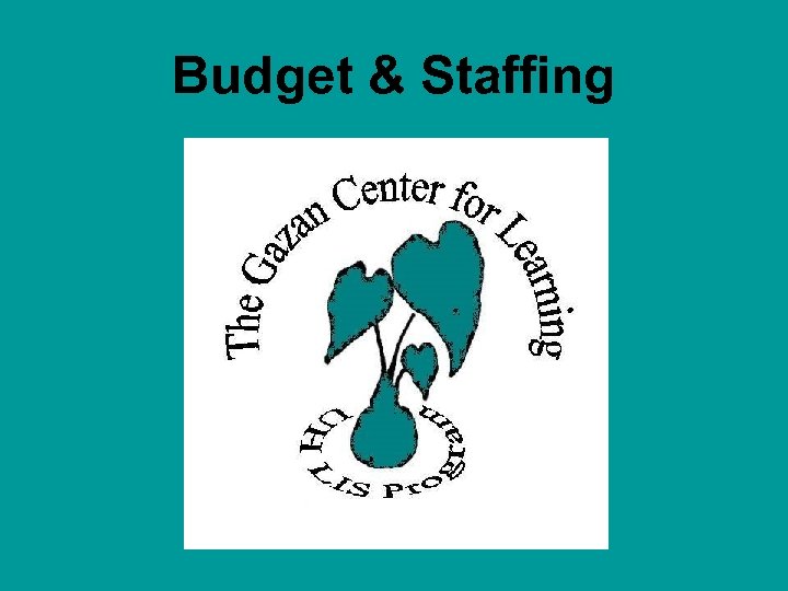 Budget & Staffing 