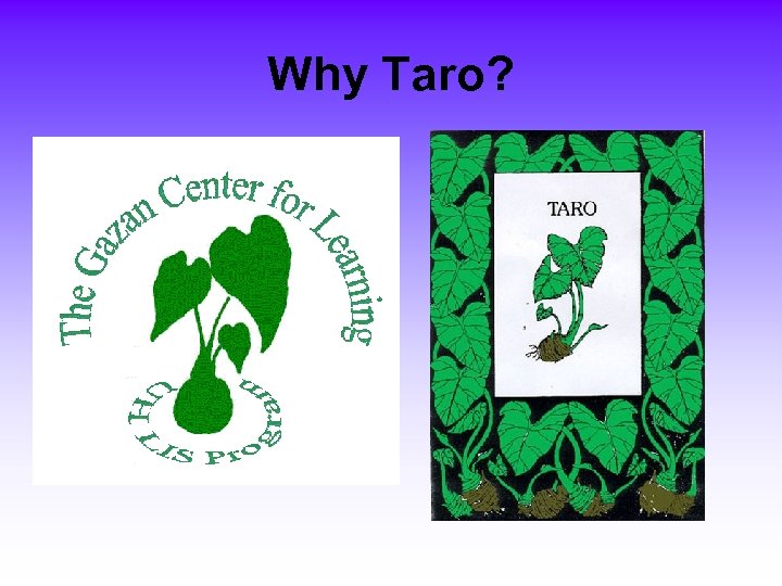 Why Taro? 
