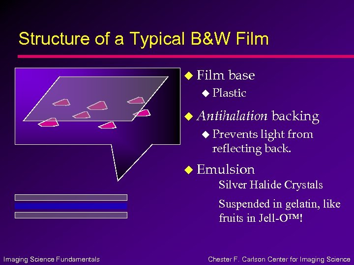 Structure of a Typical B&W Film u Film base u Plastic u Antihalation backing
