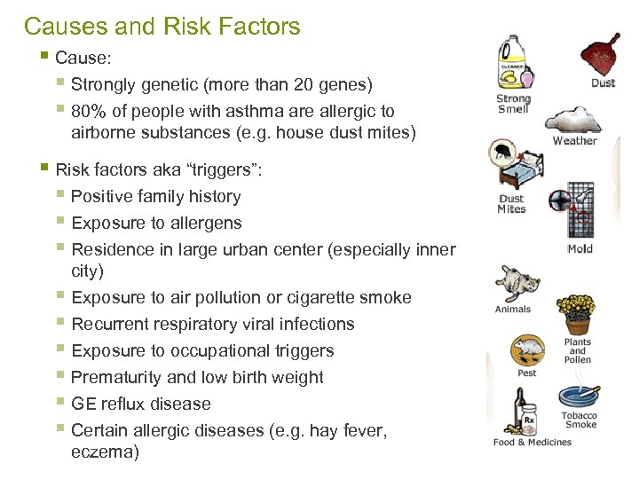 Causes and Risk Factors § Cause: § Strongly genetic (more than 20 genes) §