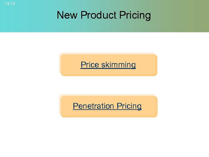14 -19 New Product Pricing Price skimming Penetration Pricing © 2007 Mc. Graw-Hill Companies,
