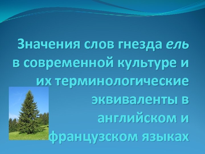 Значение ели. Ель значение для человека. Лексическое значение слова ель. Ель Толковый словарь.