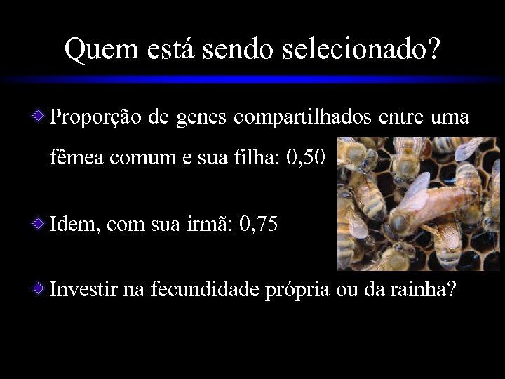 Quem está sendo selecionado? Proporção de genes compartilhados entre uma fêmea comum e sua