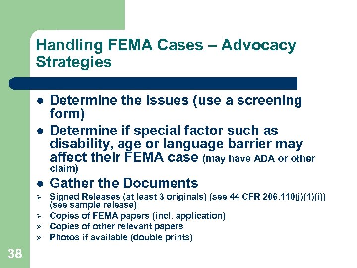 Handling FEMA Cases – Advocacy Strategies l l Determine the Issues (use a screening