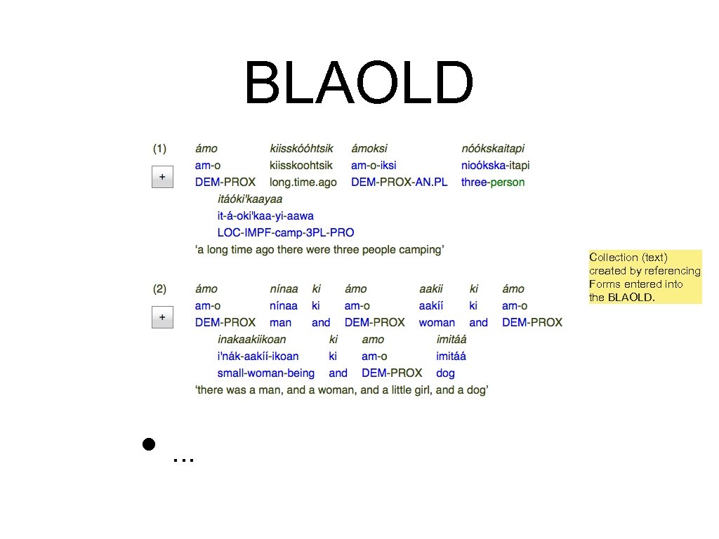 BLAOLD Collection (text) created by referencing Forms entered into the BLAOLD. • . .