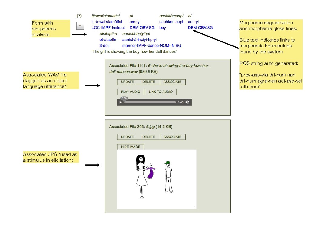 Form with morphemic analysis Morpheme segmentation and morpheme gloss lines. Blue text indicates links