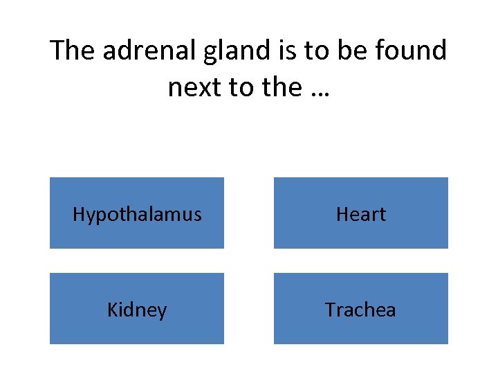 The adrenal gland is to be found next to the … Hypothalamus Heart Kidney