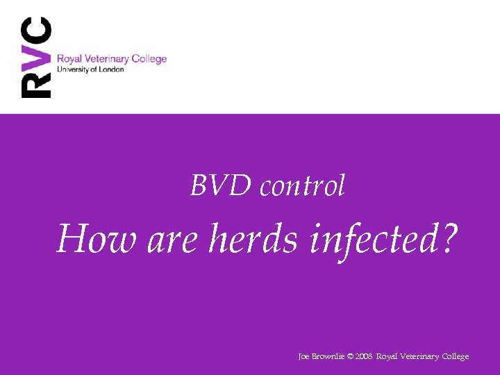 BVD control How are herds infected? Joe Brownlie © 2008 Royal Veterinary College 