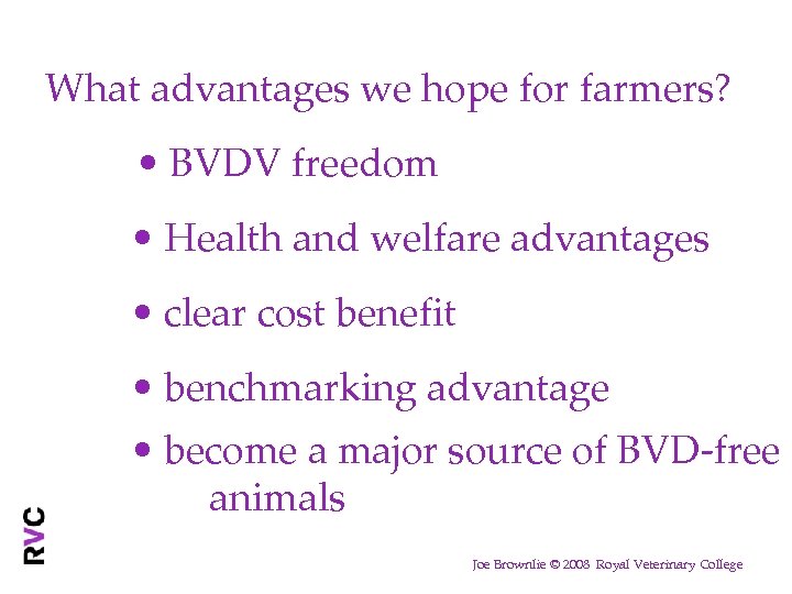 What advantages we hope for farmers? • BVDV freedom • Health and welfare advantages