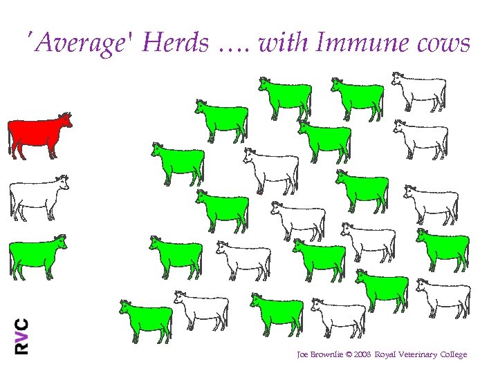 'Average' Herds …. with Immune cows Joe Brownlie © 2008 Royal Veterinary College 