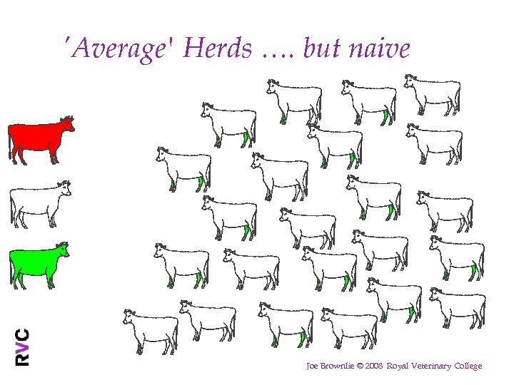 'Average' Herds …. but naive Joe Brownlie © 2008 Royal Veterinary College 