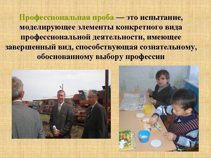 Профессиональная проба — это испытание, моделирующее элементы конкретного вида профессиональной деятельности, имеющее завершенный вид,